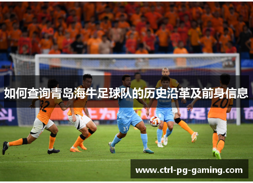 如何查询青岛海牛足球队的历史沿革及前身信息 如何查询青岛海牛足球队的历史沿革及前身信息