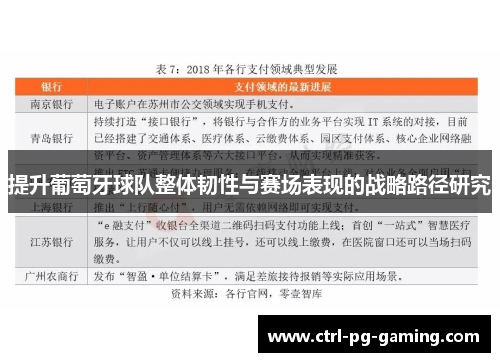 提升葡萄牙球队整体韧性与赛场表现的战略路径研究