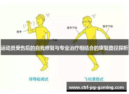 运动员受伤后的自我修复与专业治疗相结合的康复路径探析