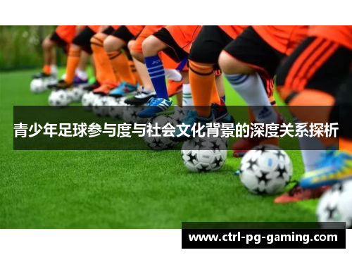 青少年足球参与度与社会文化背景的深度关系探析 青少年足球参与度与社会文化背景的深度关系探析