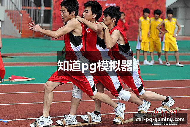 知道pg模拟器